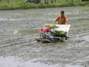 Metal Rice Transplanter - Image 2