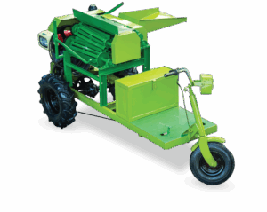 Jute Fiber Extraction