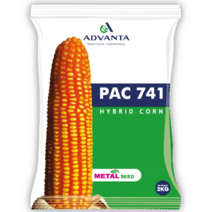 PAC 741