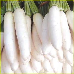 Radish